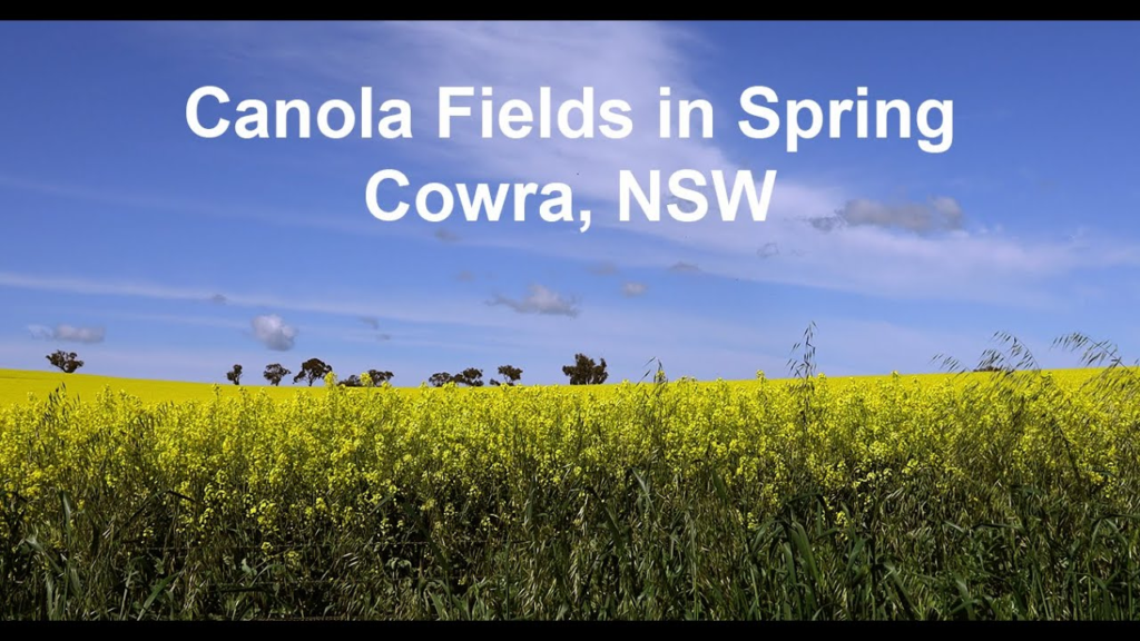 Cowra to Greenethorpe, Landra, and Grenfell